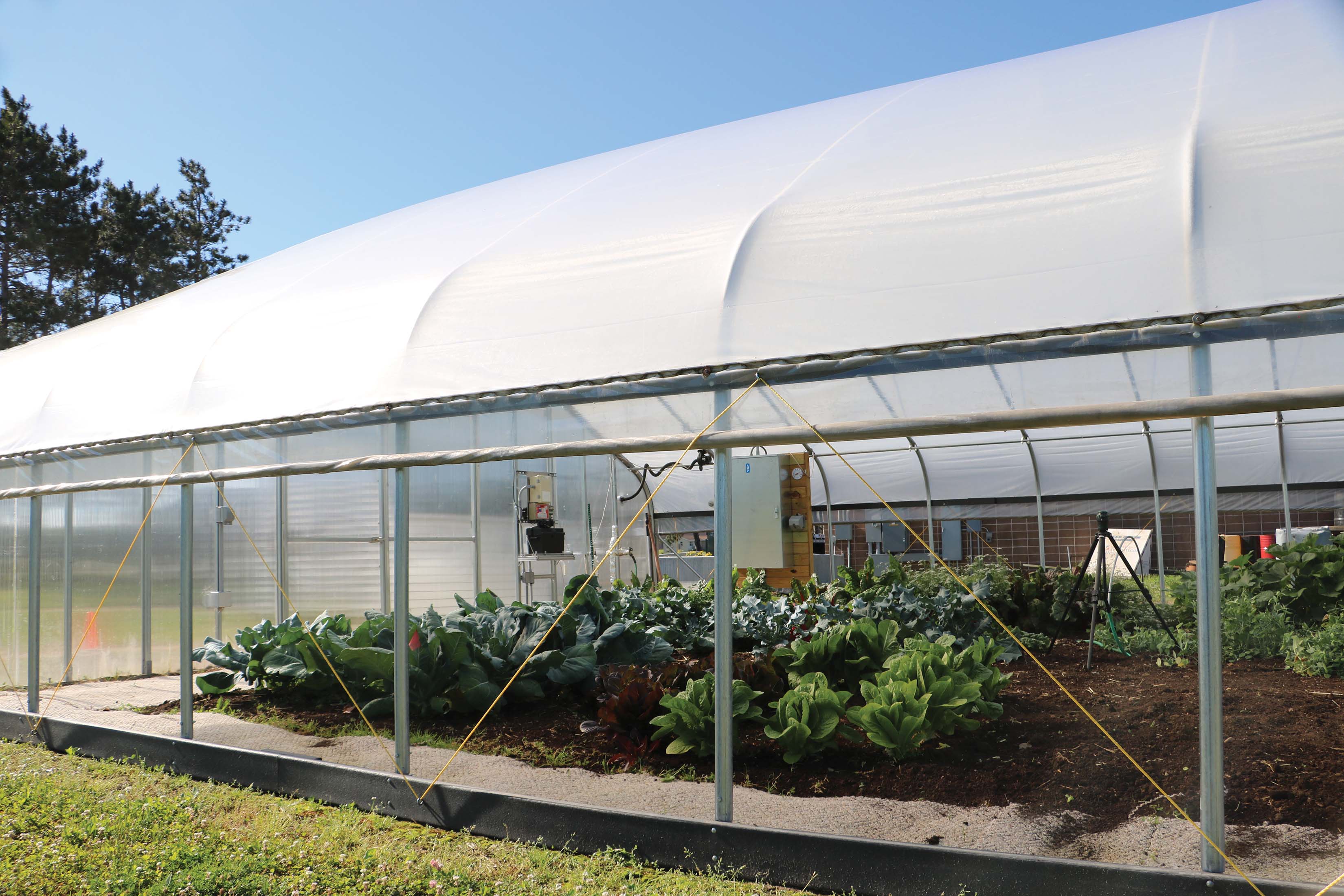 The Summer Sun Is Overheating Your Greenhouse Heres How To Cool It