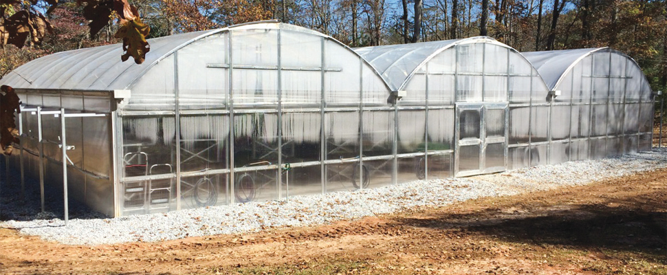 Table Rock team Company greenhouse