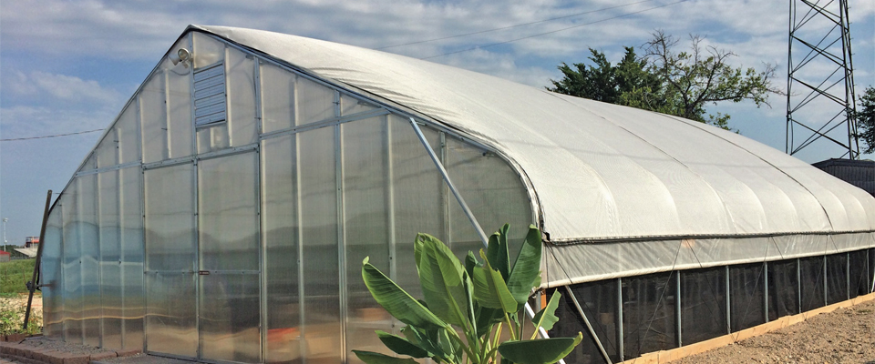 Victory Gardens greenhouse