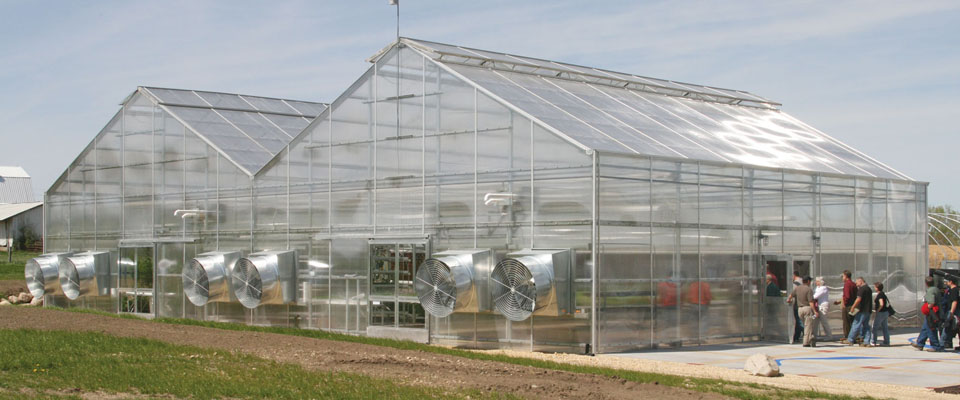 Commercial cannabis greenhouses