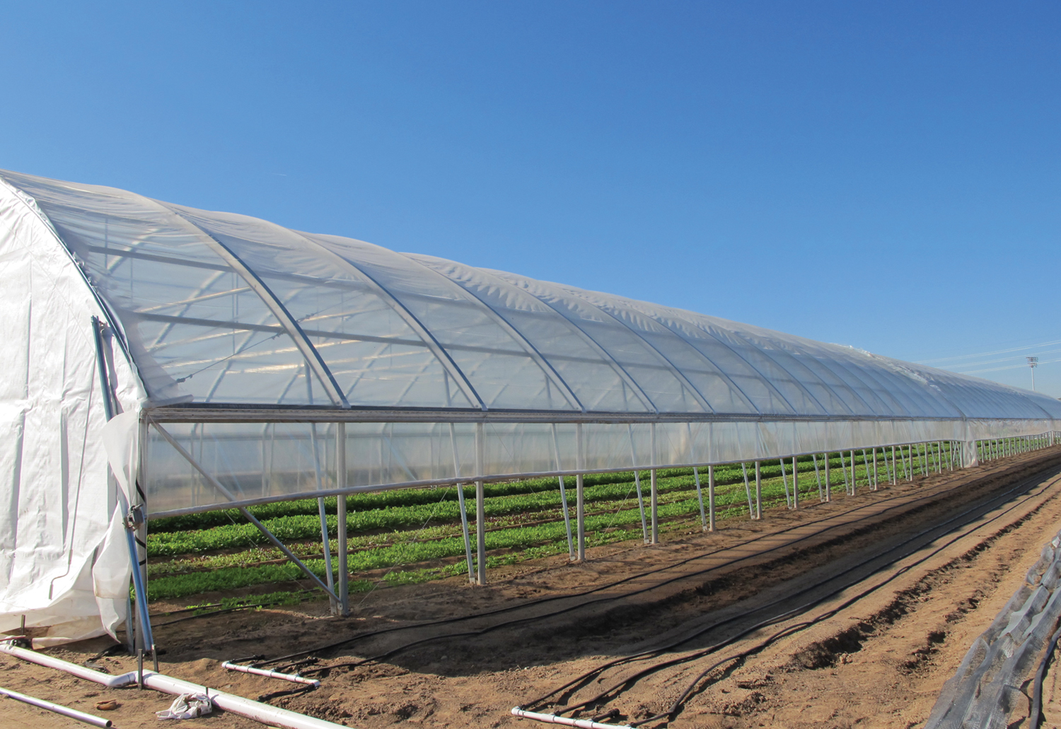 Top Ten High Tunnel Benefits | GrowSpan