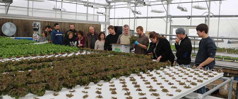 Growers Supply's CEA Hands-On Workshop Information Available Through ...