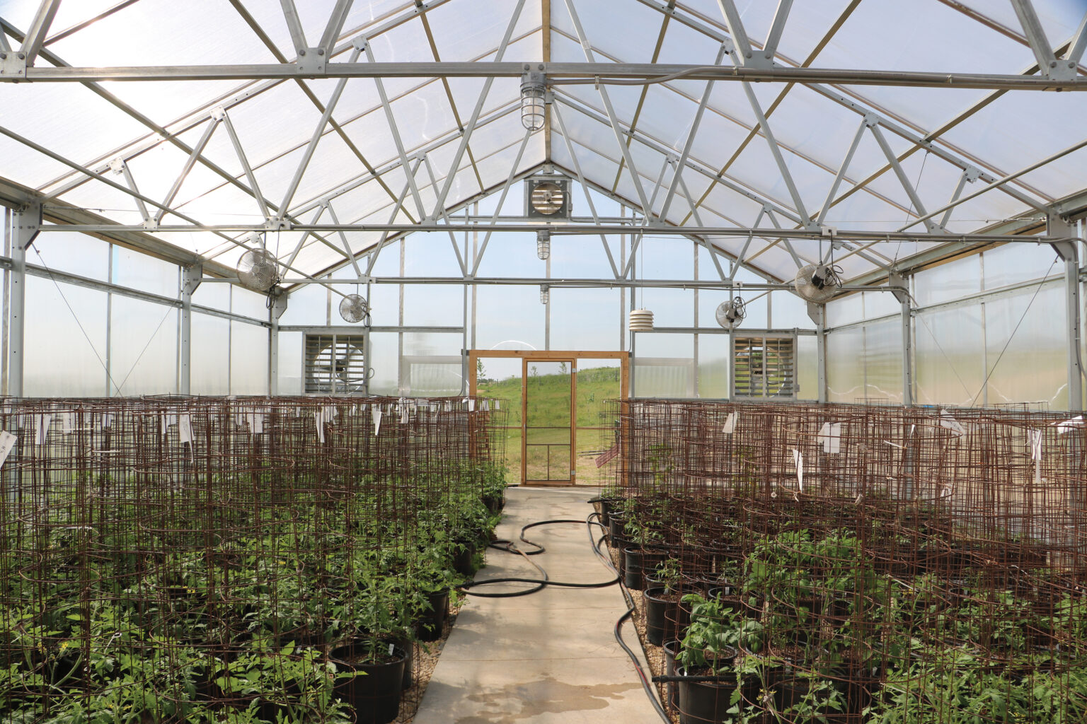 Choosing the Right Greenhouse Covering for Your Operation | GrowSpan