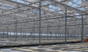 GrowSpan Commercial Greenhouses & Professional Greenhouses | GrowSpan