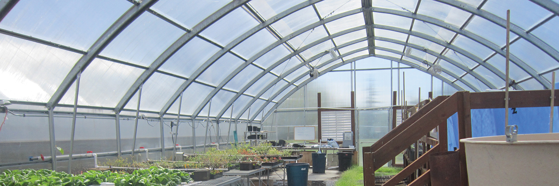 Gothic Premium Greenhouses Growspan