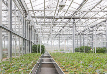 GrowSpan Venlo Glass Greenhouse
