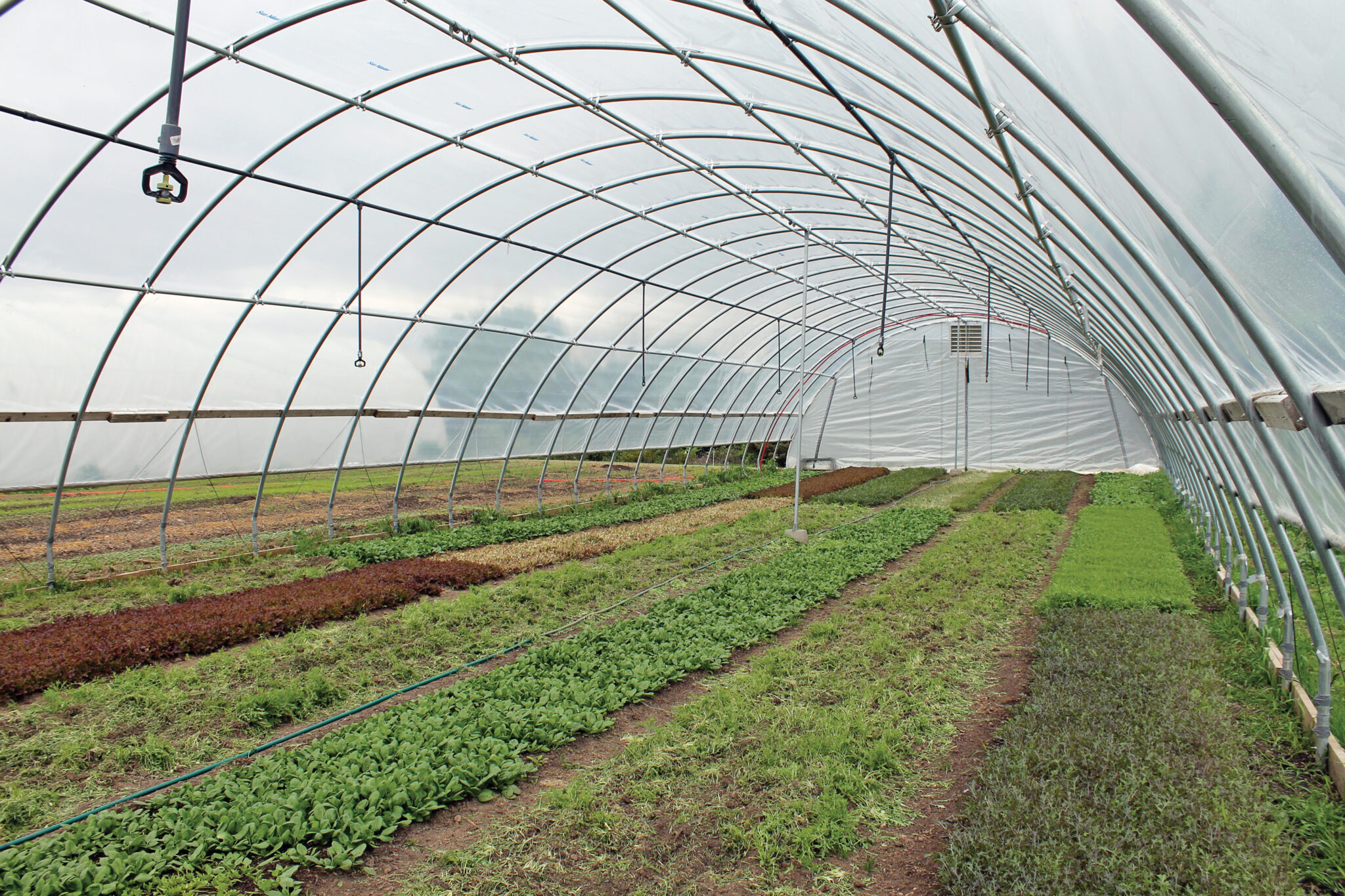 The Guide To High Tunnel Production Using A High Tunnel Hoop House And