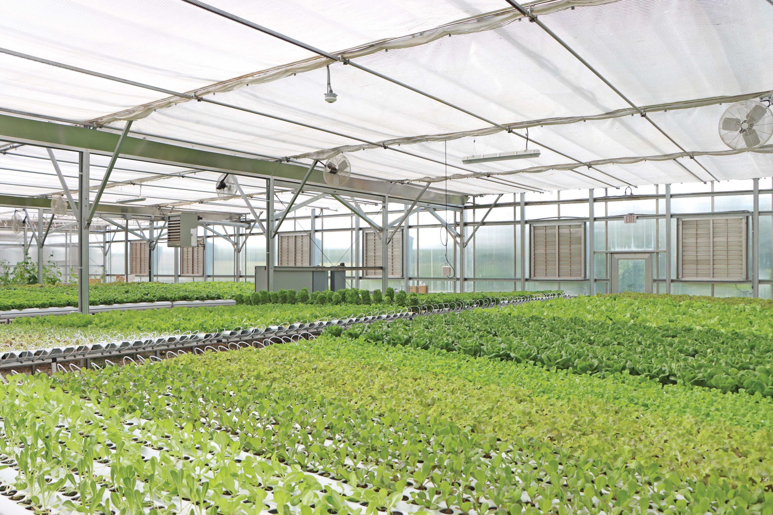 The Most Important Benefits Of A Greenhouse Growspan 0257