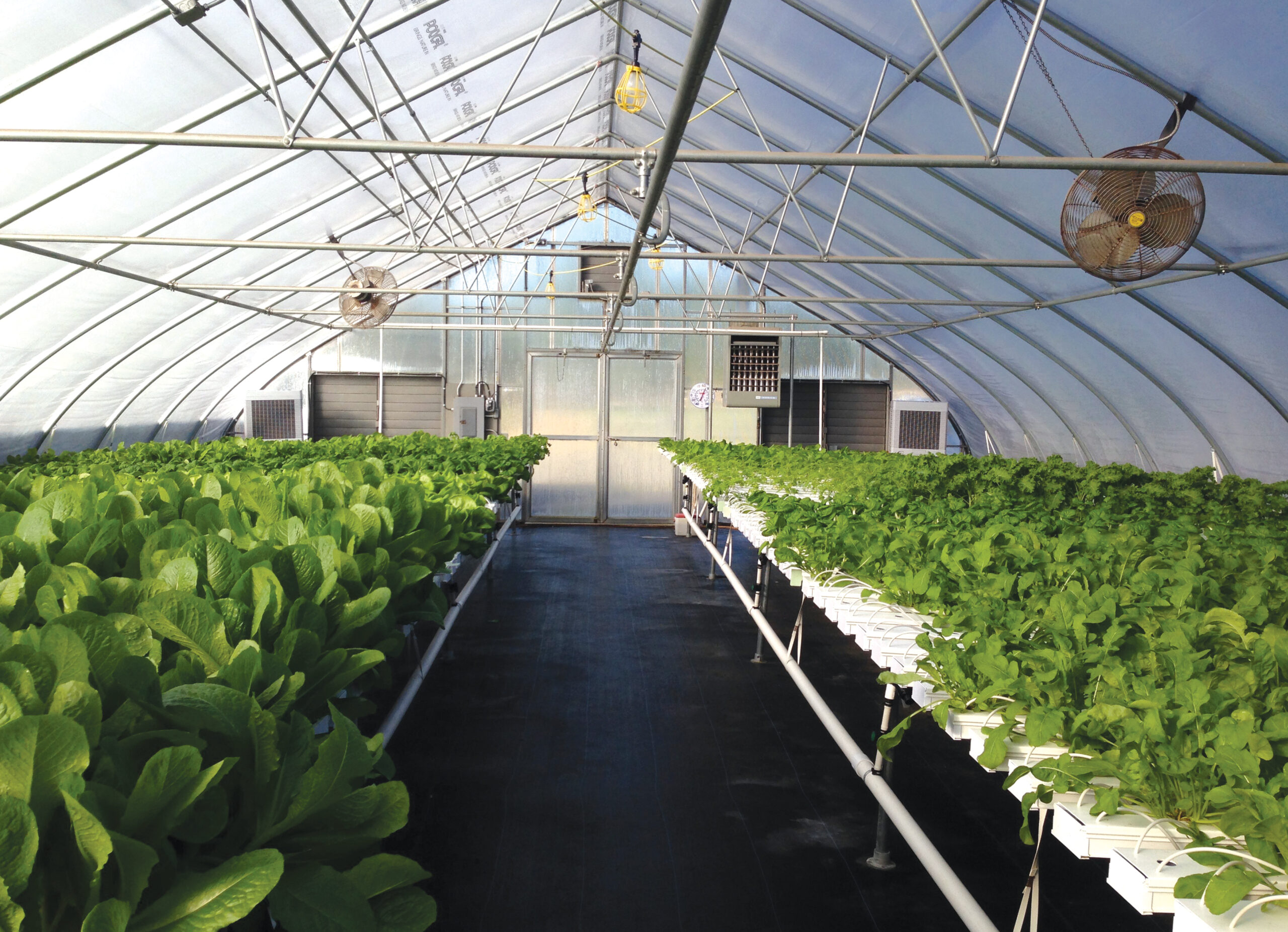 Greenhouse Insulation: Here's What You Need To Know To Operate Your ...