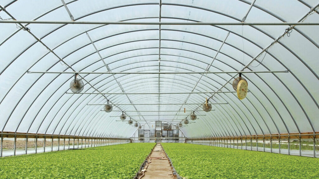 Top 10 High Tunnel Benefits | GrowSpan