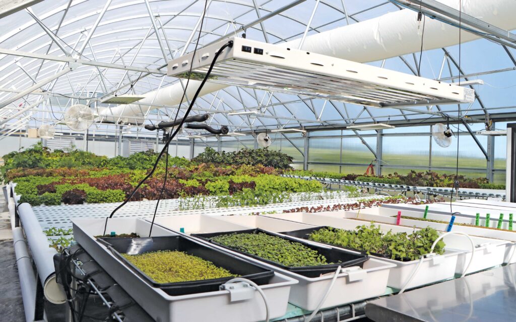 The Complete Guide To Hydroponic Growing Systems: Choosing The Right ...