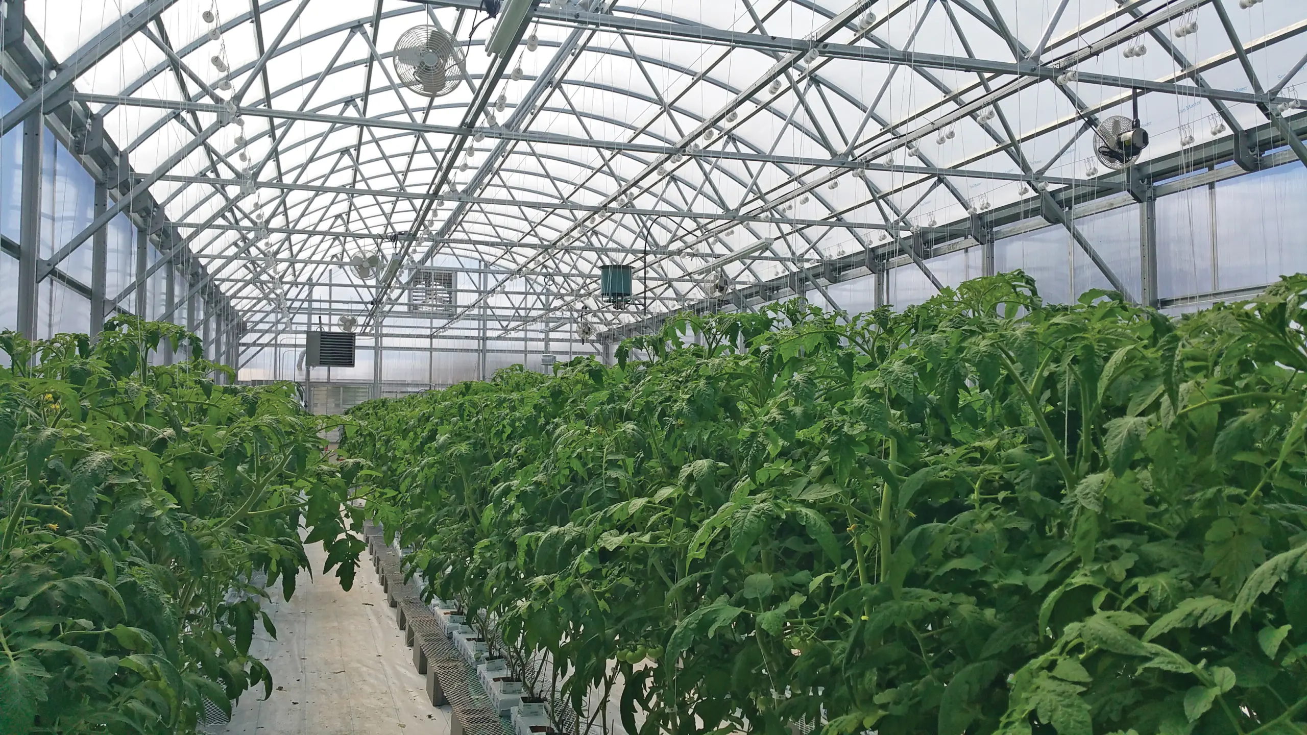 Looking To Operate A Year-Round Greenhouse? Here's How