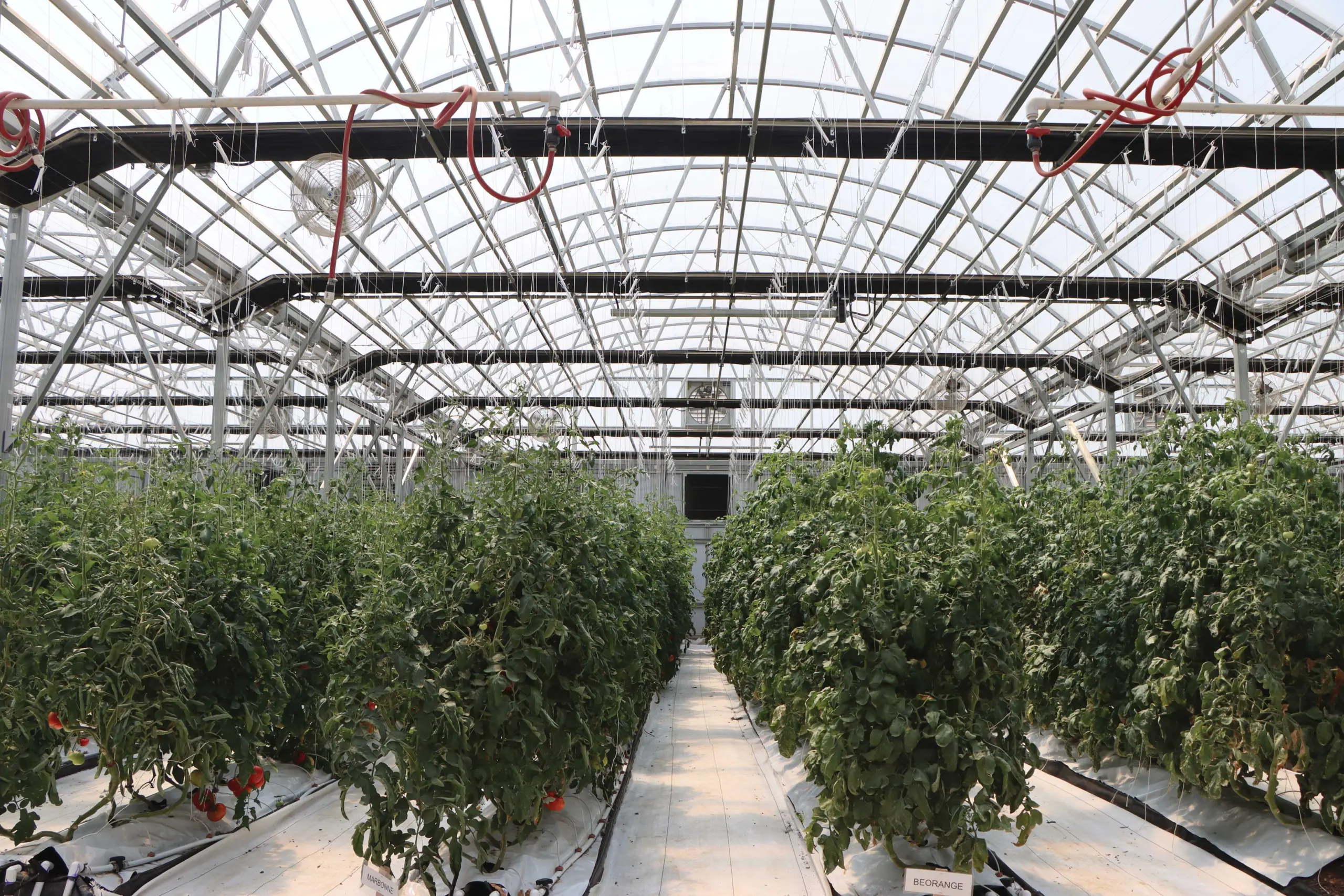 The Essential Commercial Greenhouse Supplies Checklist | GrowSpan