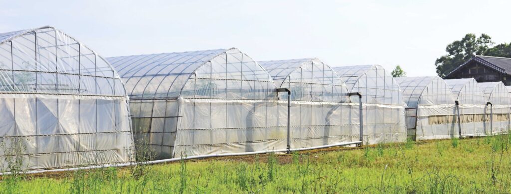 multi bay hoop houses