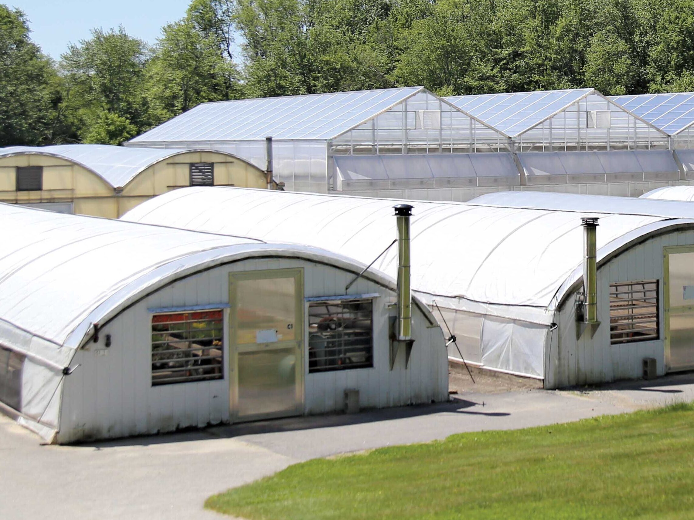 Different types of greenhouses being used by one operation