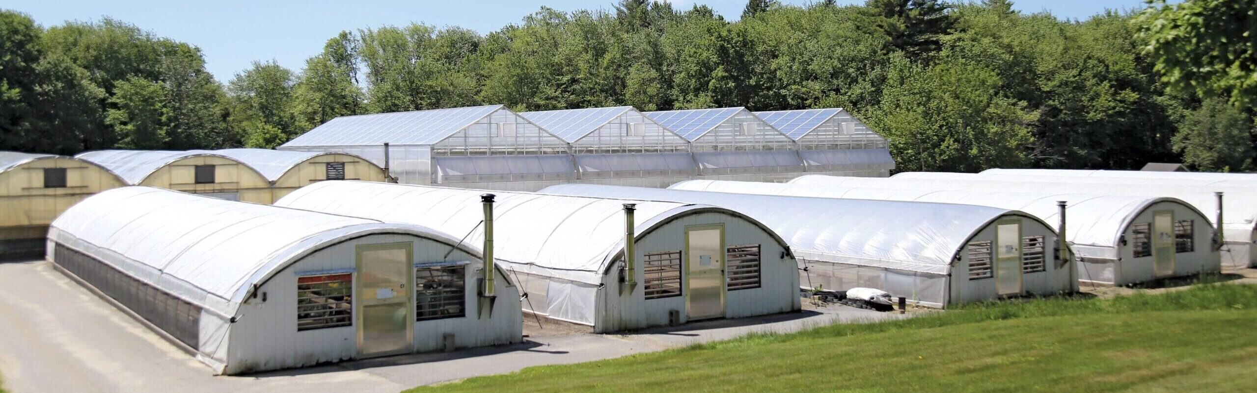 Different types of greenhouses being used by one operation