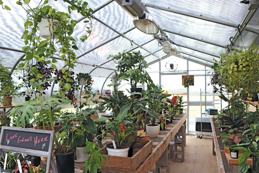 Interior picture in gothic type of greenhouse