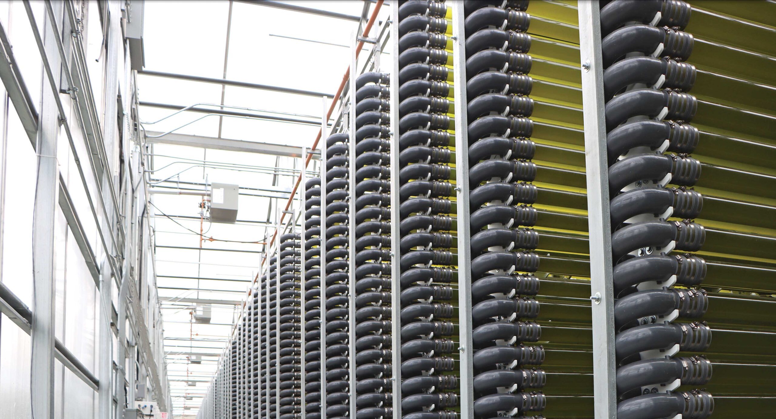 algae photobioreactors inside greenhouse